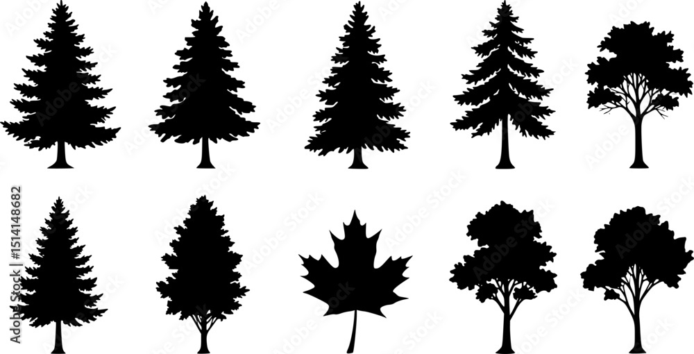 Fototapeta premium various deciduous trees silhouettes on the white background. vector set. PNG white background 