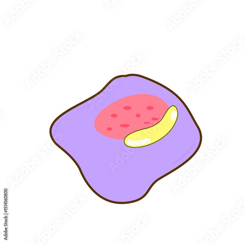 Granulocyte Cell Vector