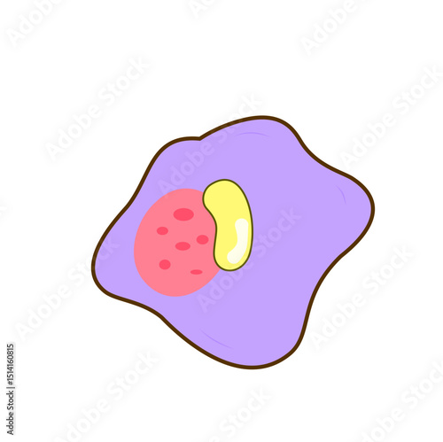 Granulocyte Cell Vector