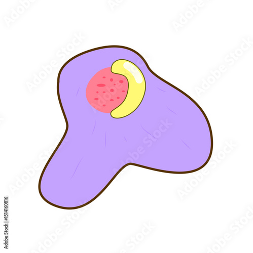 Granulocyte Cell Vector