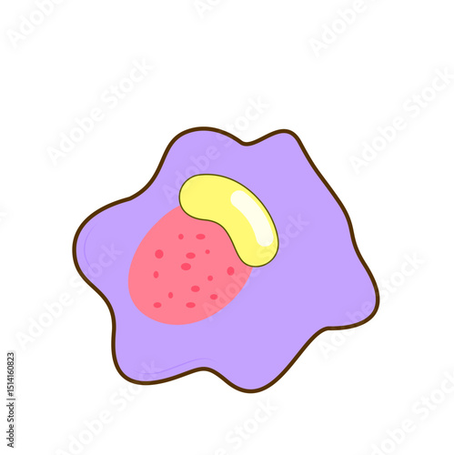 Granulocyte Cell Vector