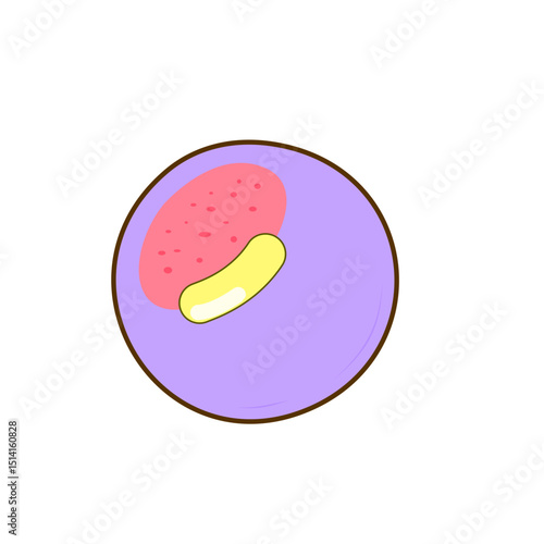 Granulocyte Cell Vector