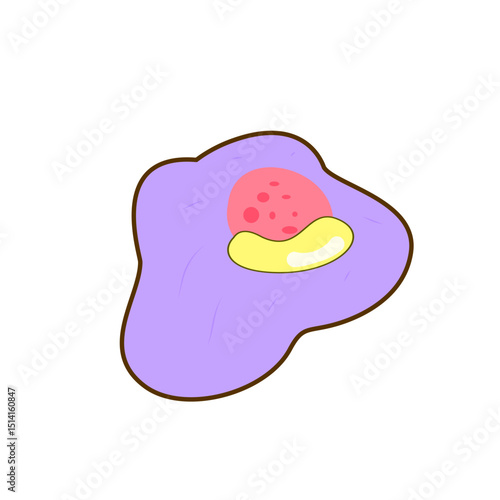 Granulocyte Cell Vector