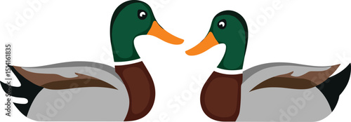 Cartoon vector of two mallard ducks facing each other, isolated on a transparent background. Perfect for wildlife designs, nature themes, kids’ art, and farm animal collections.