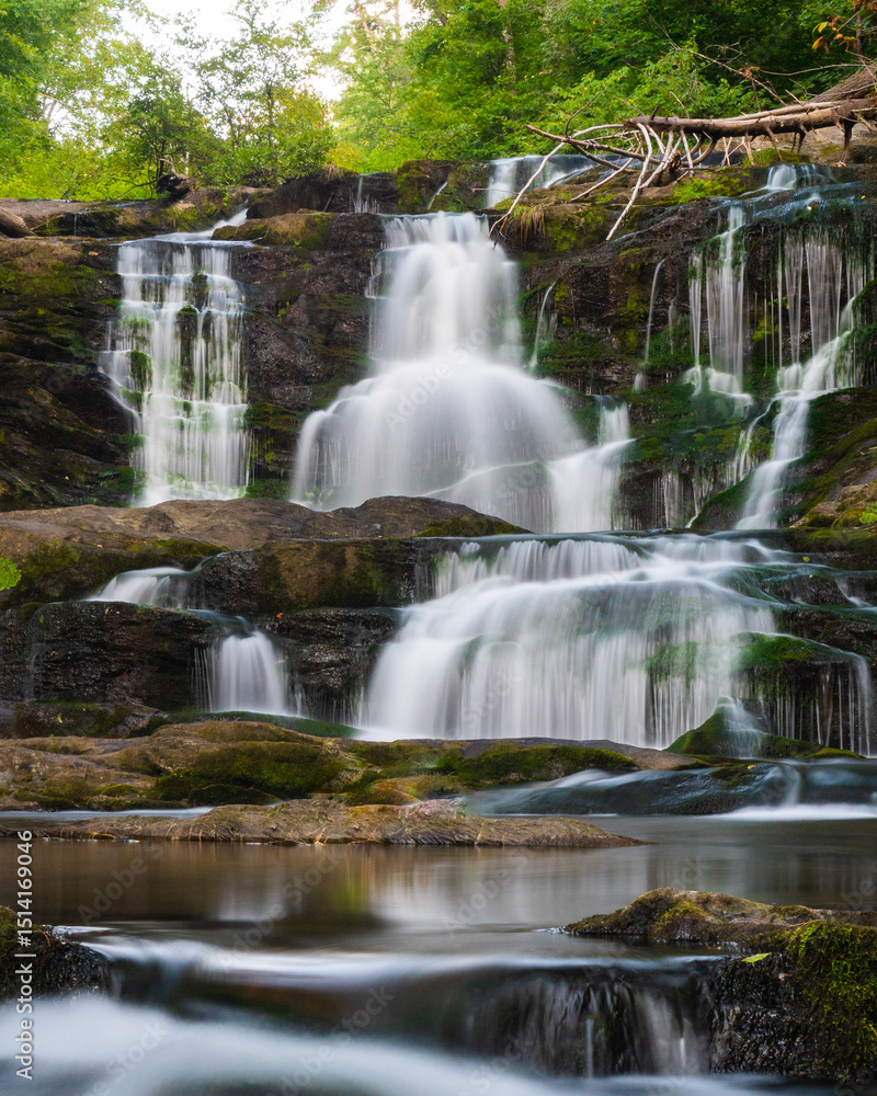 Obraz premium Waterfall in the Forest