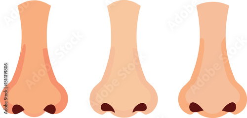 Cartoon vector set of three human noses in different styles, isolated on a transparent background. Ideal for anatomy, emoji design, character creation, and educational content.