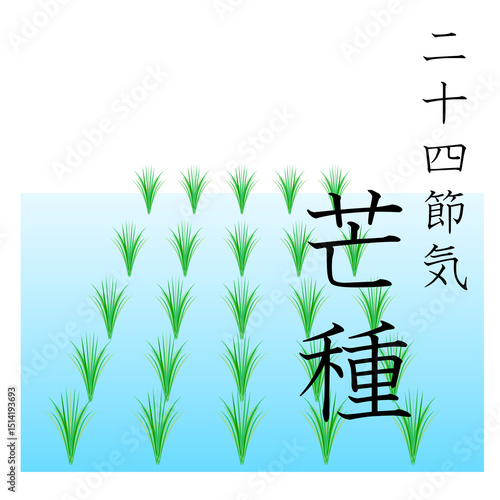 二十四節気の芒種