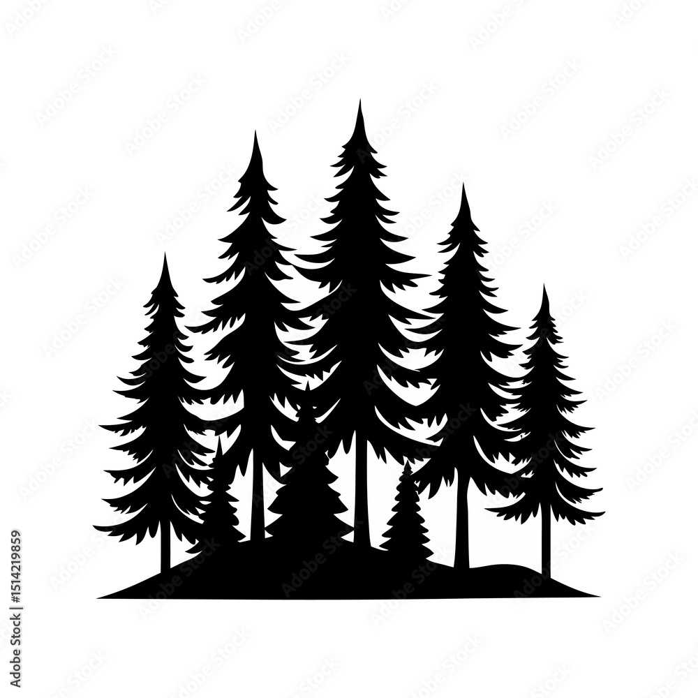 Fototapeta premium Pine Forest Silhouette