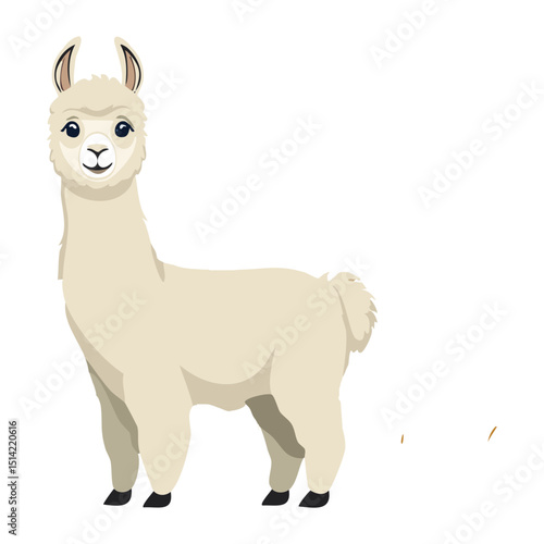 Elegant White Llama Standing Gracefully