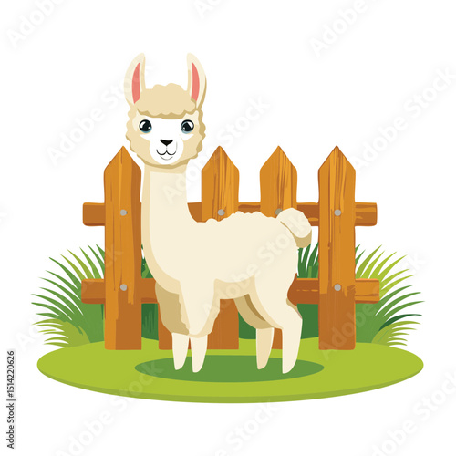 Cute White Llama by Wooden Fence
