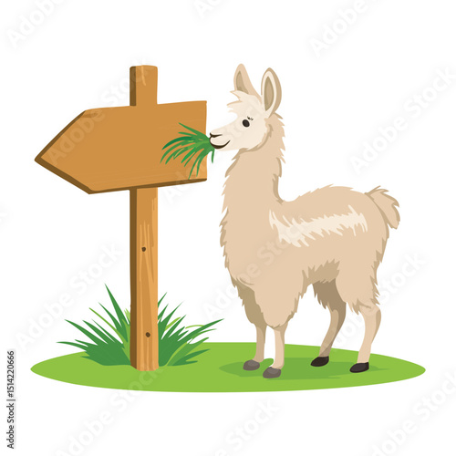 Cute Llama with Blank Wooden Signpost