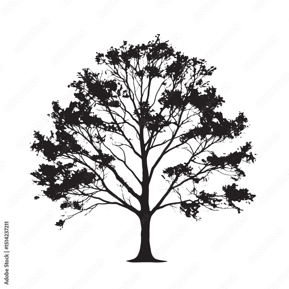 Fototapeta premium Black Sugar Maple Tree Silhouette Elegant Foliage Design for Nature Lovers