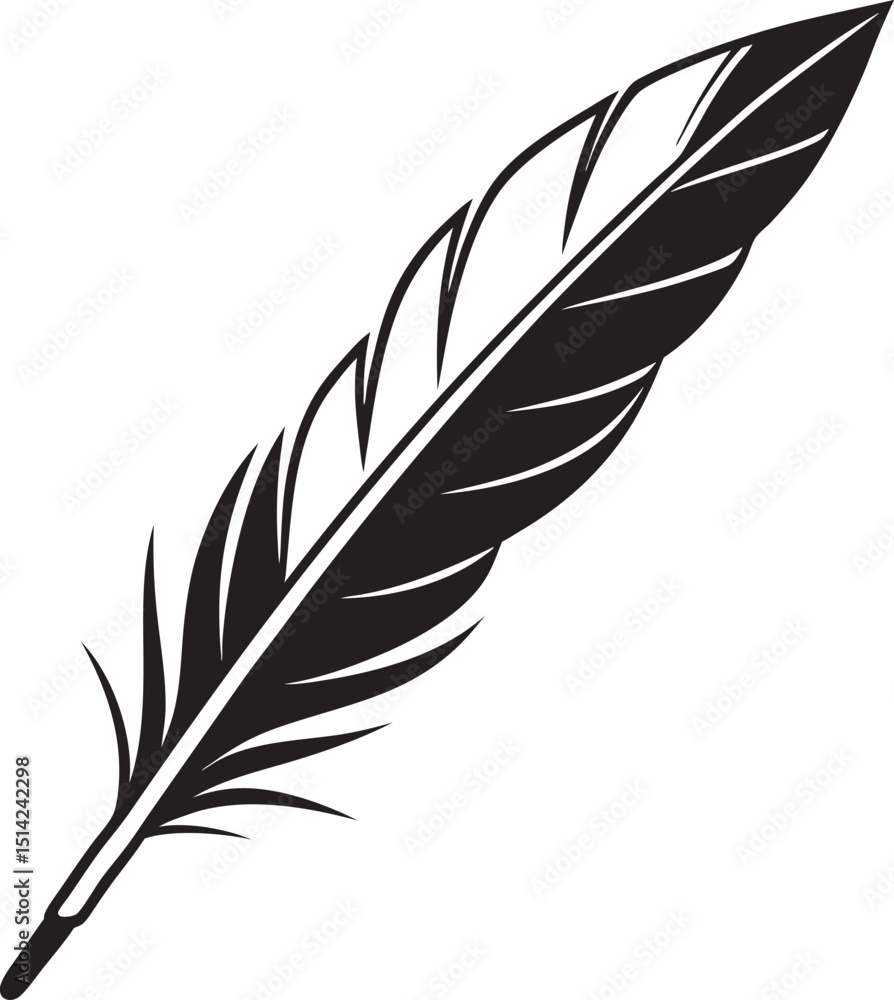 Fototapeta premium feather on white background