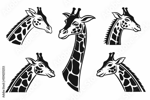 giraffe vector illustration