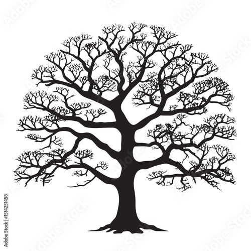Black Walnut Tree Vector Silhouette Illustration