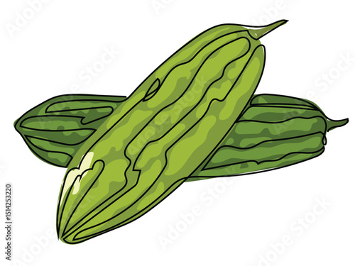 Bitter melon in continuous line drawing on a white background.