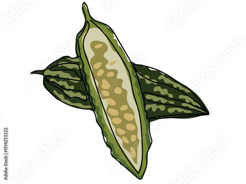 Bitter melon in continuous line drawing on a white background.