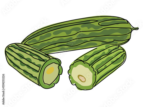Bitter melon in continuous line drawing on a white background.