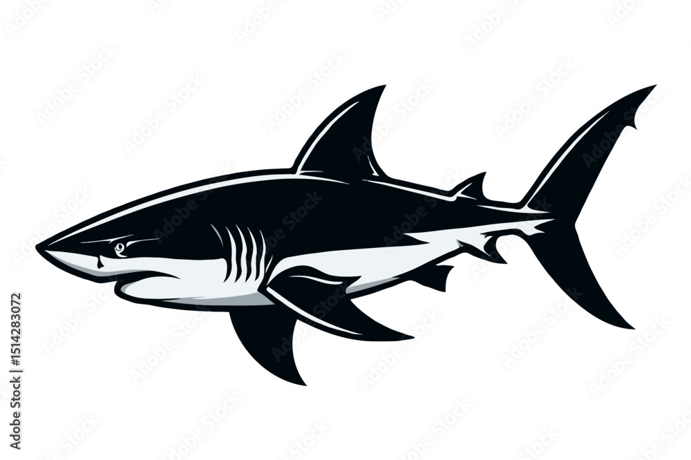 Obraz premium shark vector illustration