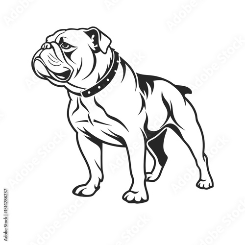 French bulldog puppy