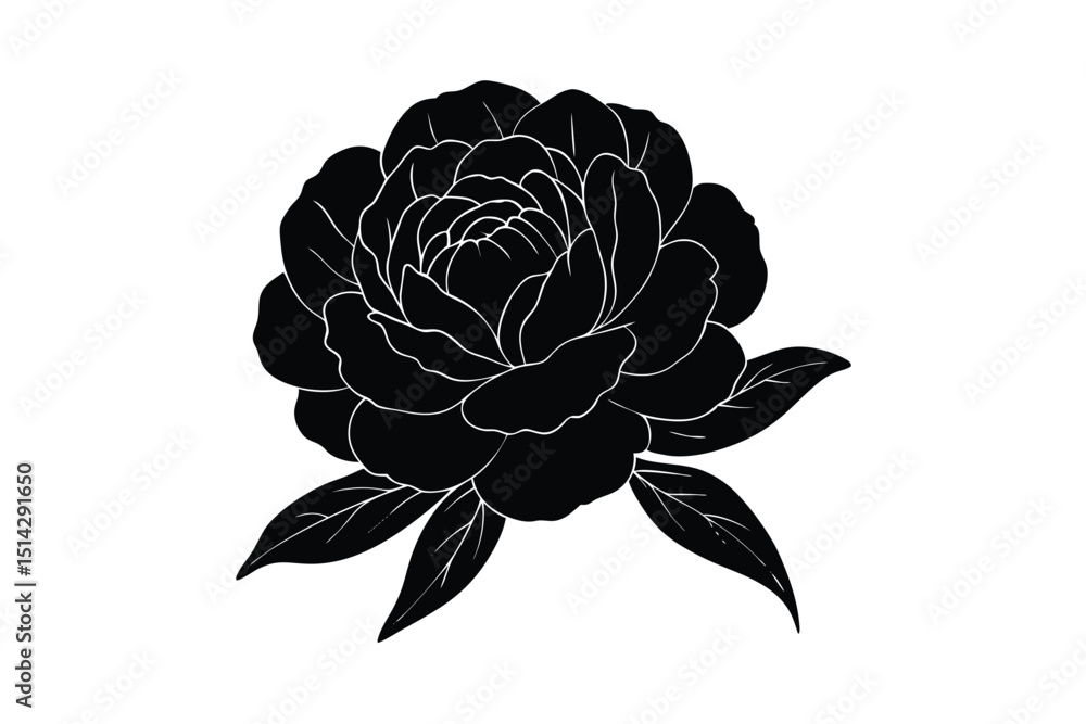 Soft blooming peony with gentle layered petals lioncut art illustration Soft blooming peony with gentle layered petals lioncut art illustration