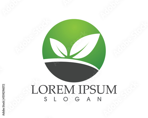leaf green nature logo and symbol template Vector