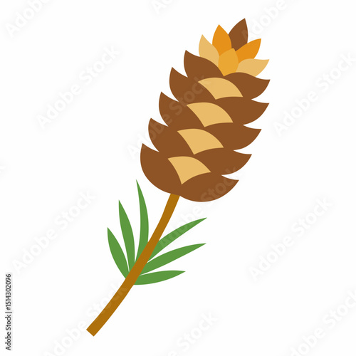 pine cone and pine cones