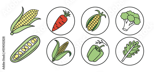 Vector illustration featuring various healthy vegetables in simple line art design for dietary concepts and healthy eating.