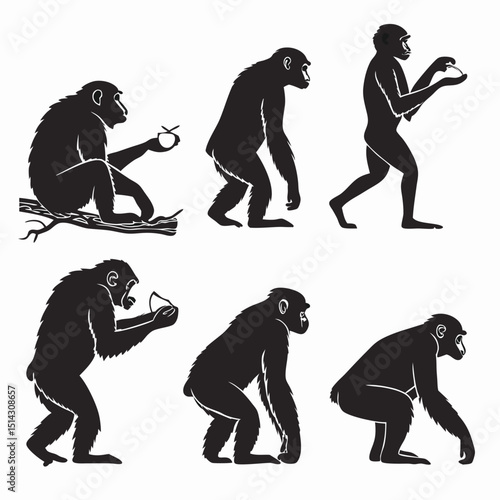 chimpanzee icon set of 6 silhouette icon vector on (1).eps