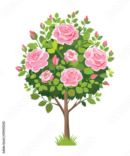 Pink Roses Topiary Tree Illustration