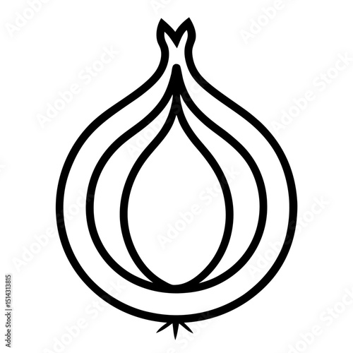vector illustration of onion