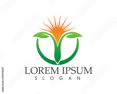 leaf green nature logo and symbol template Vector
