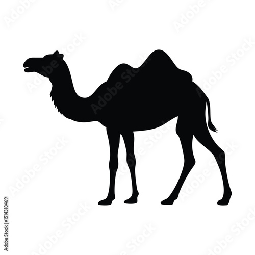 Camel Silhouette Vector Desert Animal Illustration Isolated on White, ai generated