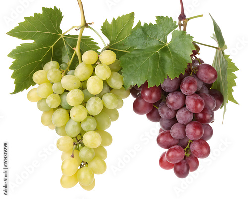 Wallpaper Mural A close up of two bunches of grapes one green and one red hanging with green leaves on a white backdrop Torontodigital.ca