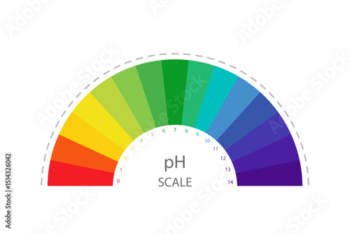 PH Scale. Acid and alkaline solution infographic. Chemical analysis or test. Vector illustration in flat style.