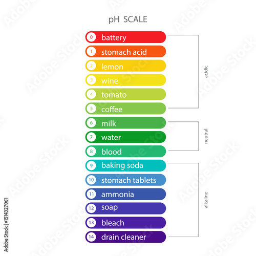 PH Scale. Acidic and alkaline measure. Scale indicator for litmus paper test. Vector illustration isolated on white background.