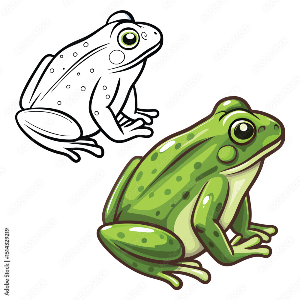Fototapeta premium vector green frog on white background