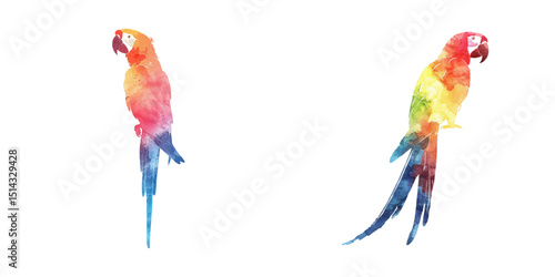 abstract color silhouette of parrot watercolor vector illustration