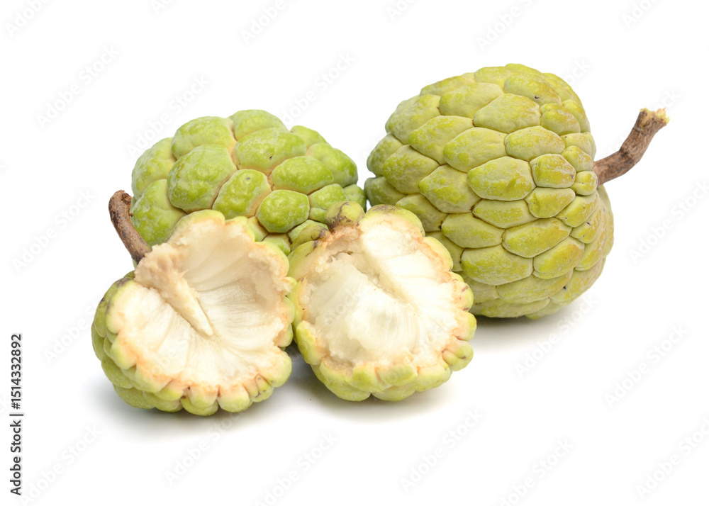 Fototapeta premium Sugar-apple on branch