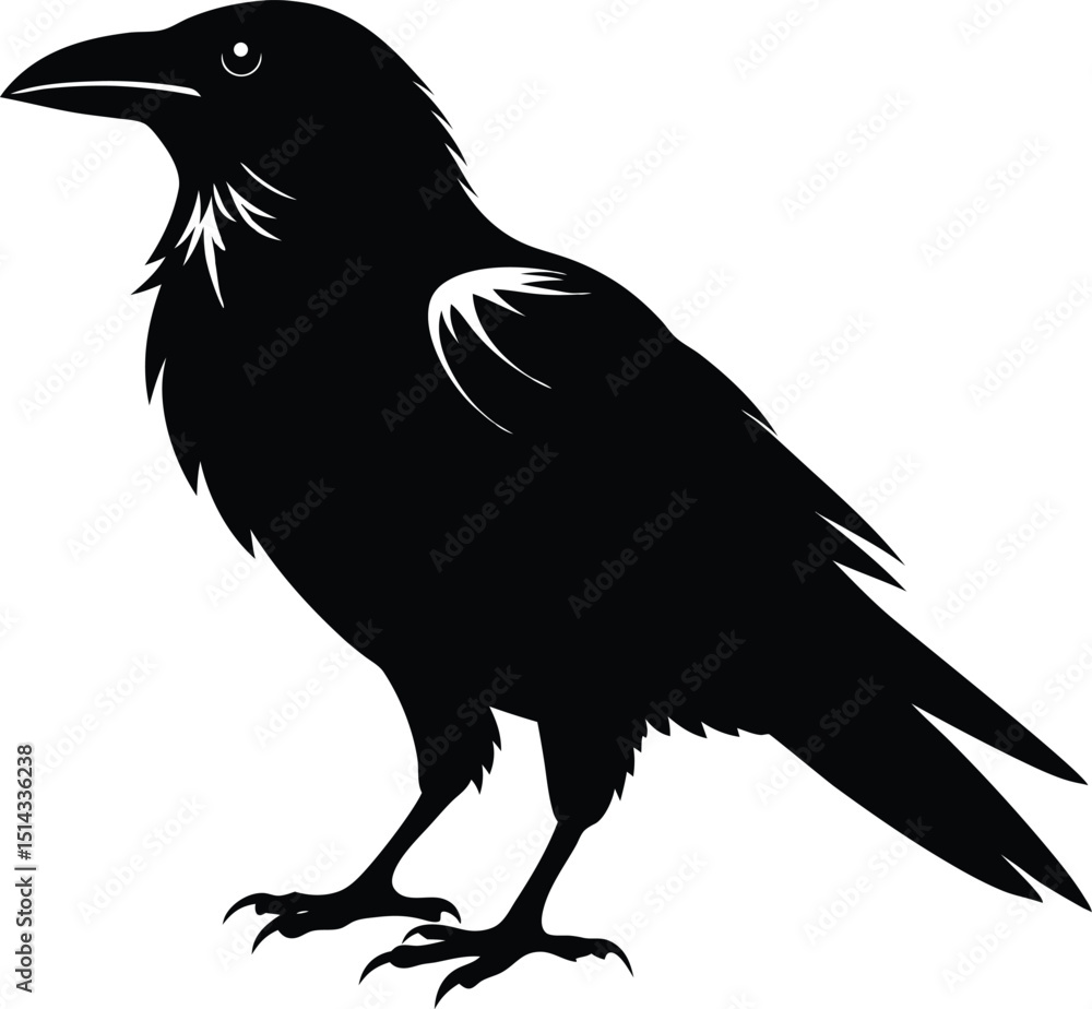 Fototapeta premium Raven Silhouette Vector, Raven Mysterious Bird