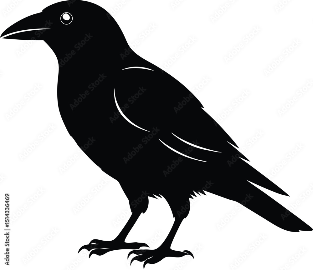 Obraz premium Raven Silhouette Vector, Raven Mysterious Bird