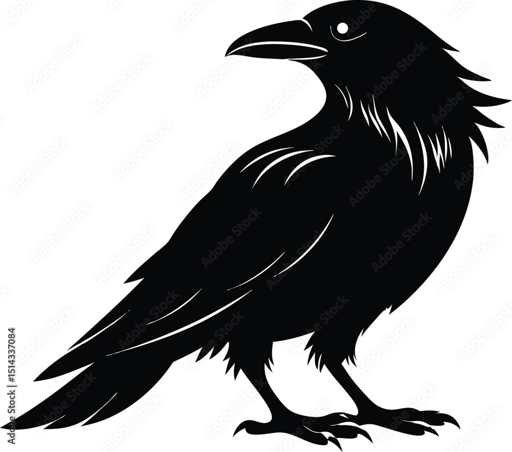 Fototapeta premium Raven Silhouette Vector, Raven Mysterious Bird