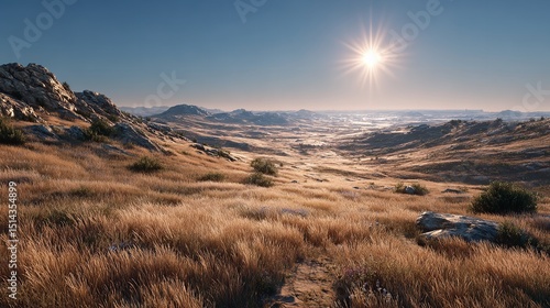 Whispers of golden grass under a radiant sun evoke the freedom of nature on a serene hillside vista
