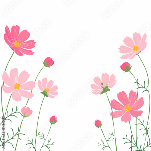 A symmetrical cosmos flower border with soft color and plenty of open space, great for stationery or spring branding.