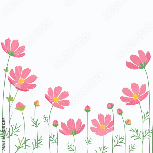 A symmetrical cosmos flower border with soft color and plenty of open space, great for stationery or spring branding.