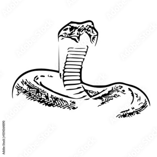Black and White Cobra Snake Vector Illustration on White Background
