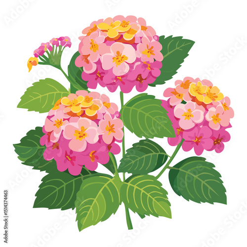 Charming Pink Yellow Hydrangea Bush