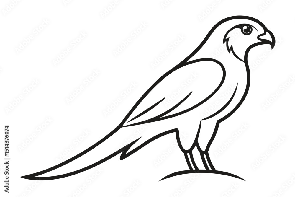 Obraz premium Kestrel Bird Line Drawing Outline Vector