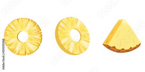 Fresh yellow Pineapple chunks, pieces slice icon set. Healthy vegetarian snack, cut Pineapple for design. Sliced on pieces ananas. Hand drawn trendy flat style isolated Vector illustration.