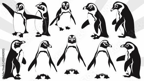 A collection of ten black and white penguins in various poses on a white background with light rays |eps vectors set silhouette
